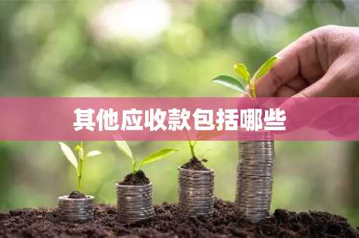 其他应收款包括哪些