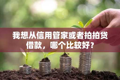 我想从信用管家或者拍拍贷借款，哪个比较好？