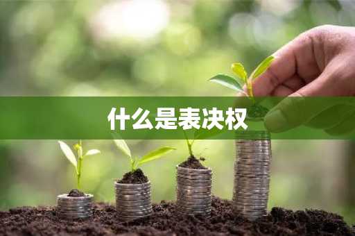什么是表决权