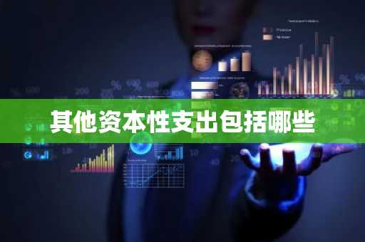 其他资本性支出包括哪些