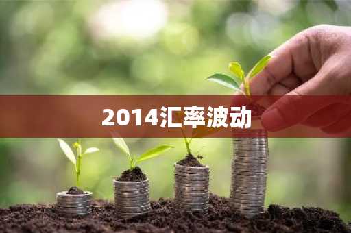 2014汇率波动