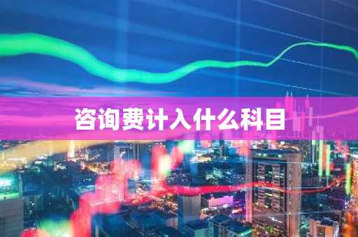 咨询费计入什么科目