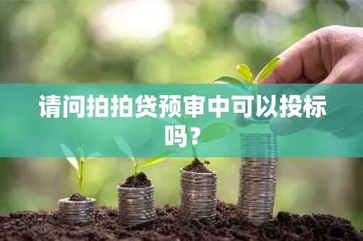 请问拍拍贷预审中可以投标吗？