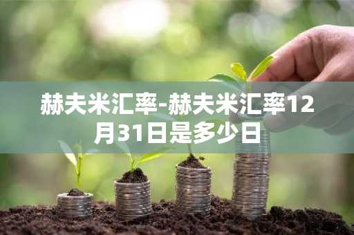 赫夫米汇率-赫夫米汇率12月31日是多少日