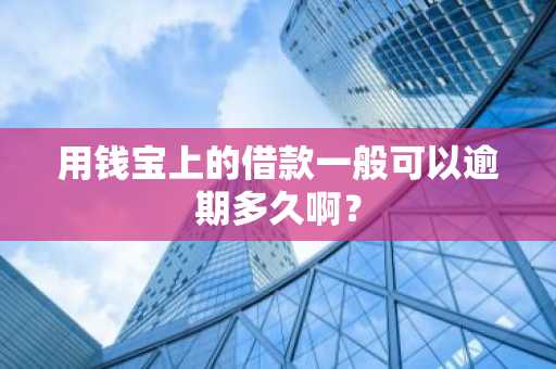 用钱宝上的借款一般可以逾期多久啊？
