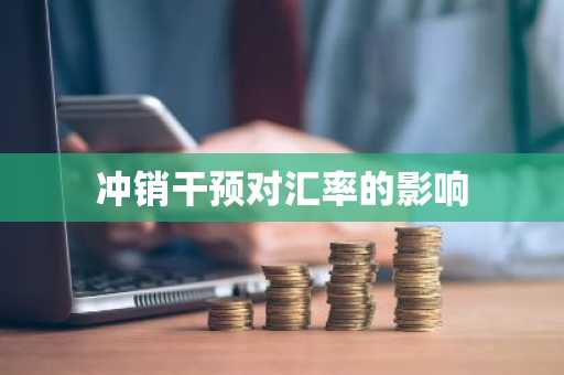 冲销干预对汇率的影响