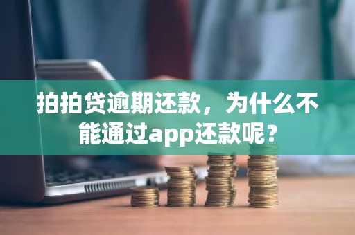 拍拍贷逾期还款，为什么不能通过app还款呢？