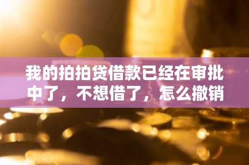 我的拍拍贷借款已经在审批中了，不想借了，怎么撤销？