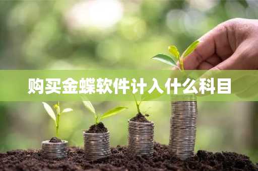 购买金蝶软件计入什么科目