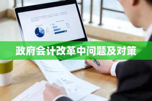 政府会计改革中问题及对策