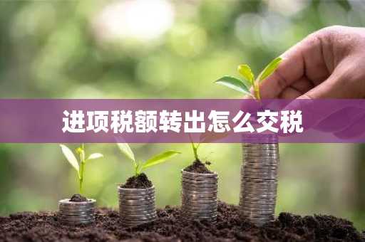 进项税额转出怎么交税