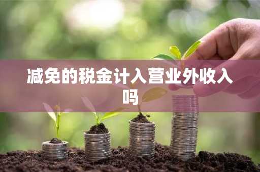 减免的税金计入营业外收入吗