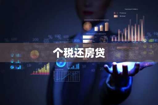 个税还房贷
