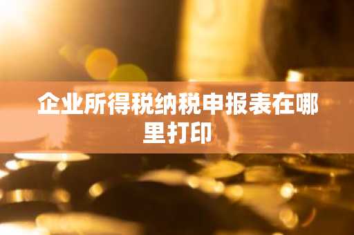 企业所得税纳税申报表在哪里打印