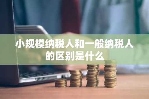 小规模纳税人和一般纳税人的区别是什么