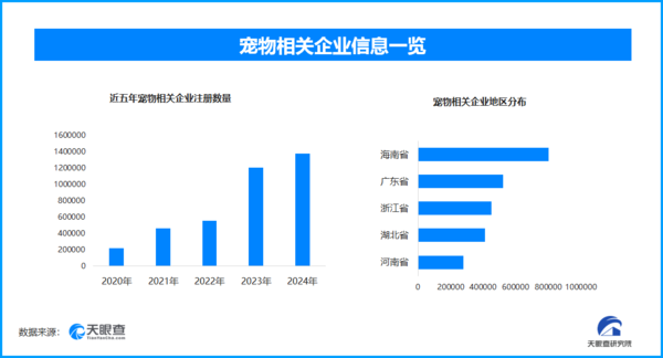 中华田园犬禁养引争议 文化认同与管理逻辑出现冲突