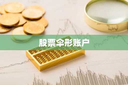 股票伞形账户