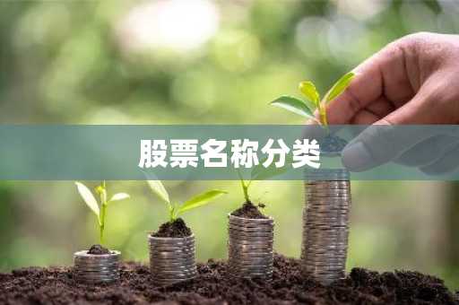 股票名称分类