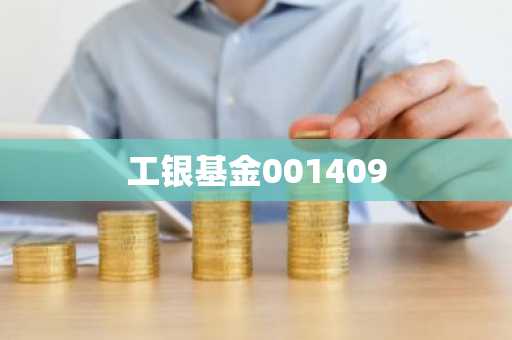 工银基金001409