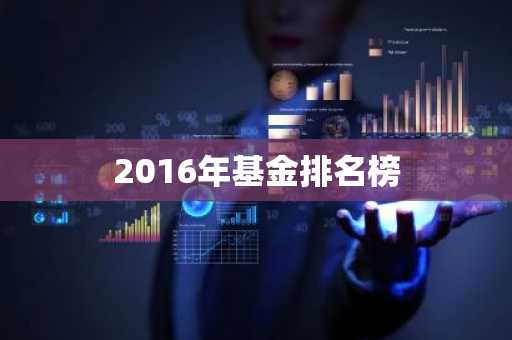2016年基金排名榜