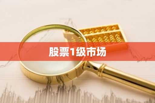 股票1级市场