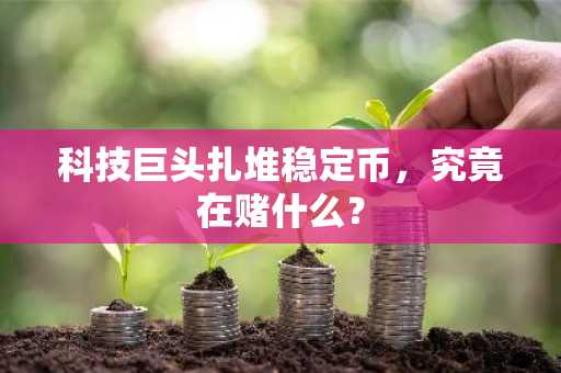 科技巨头扎堆稳定币，究竟在赌什么？
