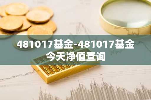 481017基金-481017基金今天净值查询