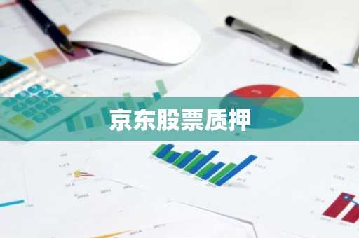 京东股票质押