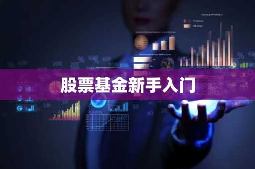 股票基金新手入门