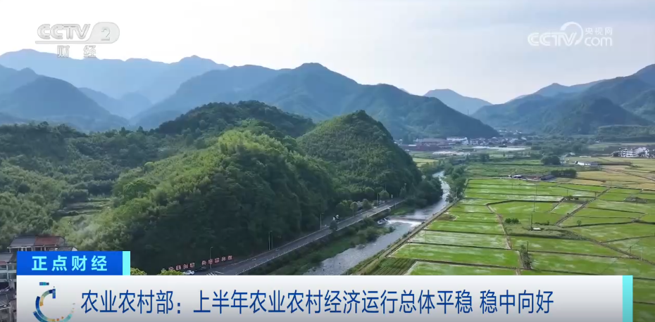 “稳”中向好！透过数据看农业农村经济“半年报”