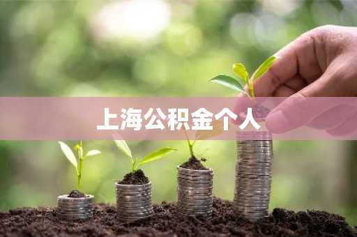 上海公积金个人
