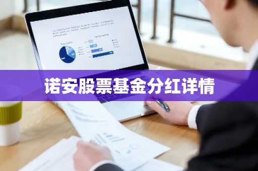 诺安股票基金分红详情