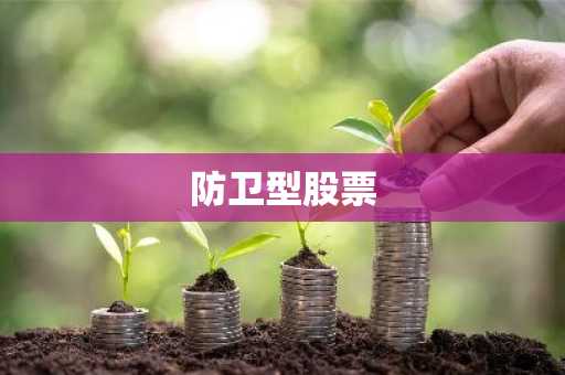 防卫型股票