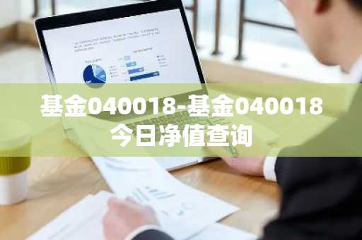 基金040018-基金040018今日净值查询
