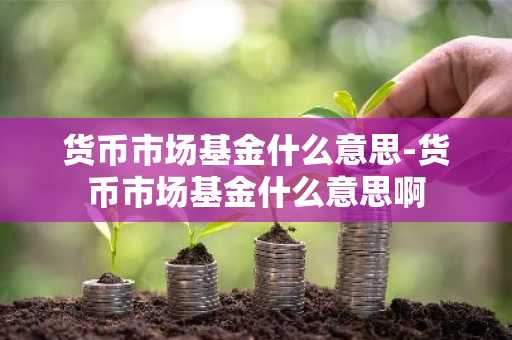 货币市场基金什么意思-货币市场基金什么意思啊