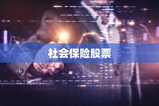 社会保险股票