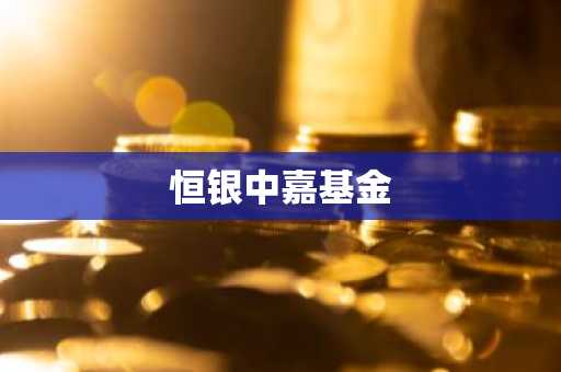 恒银中嘉基金