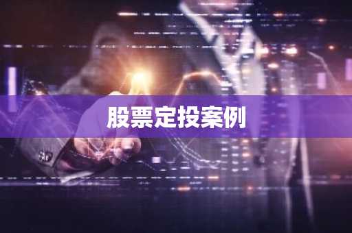 股票定投案例