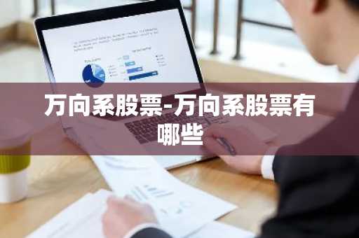 万向系股票-万向系股票有哪些