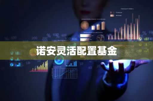 诺安灵活配置基金