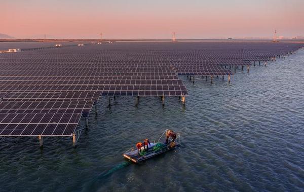 逐光前行，中国光伏以韧性穿越周期