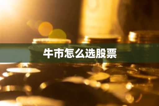牛市怎么选股票
