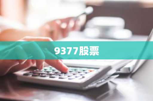 9377股票