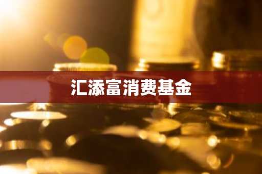 汇添富消费基金