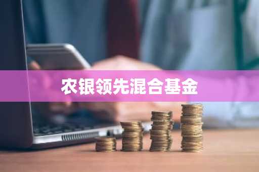 农银领先混合基金
