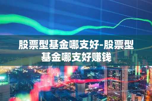 股票型基金哪支好-股票型基金哪支好赚钱