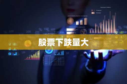 股票下跌量大