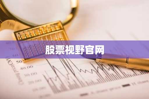 股票视野官网