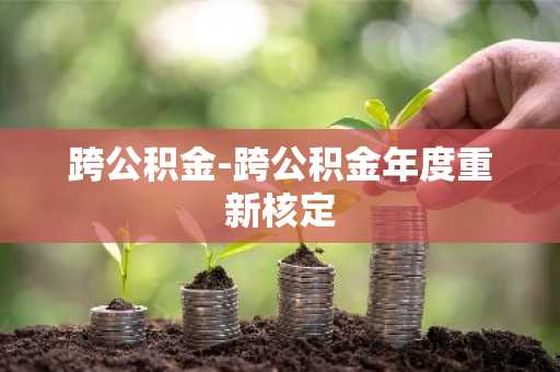 跨公积金-跨公积金年度重新核定