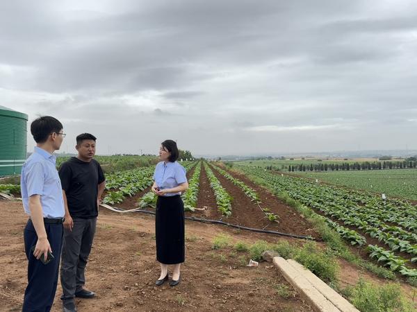 实地调研 精准发力 浦发银行郑州分行以模式创新解农户融资难题